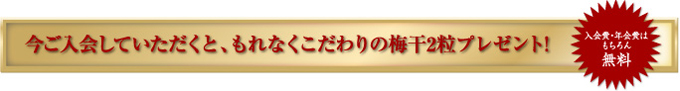 今ご入会していただくと、もれなくこだわりの梅干2粒プレゼント!