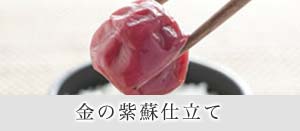 ��λ��ɻ�Ω��