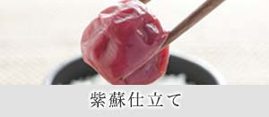 ���ɻ�Ω��